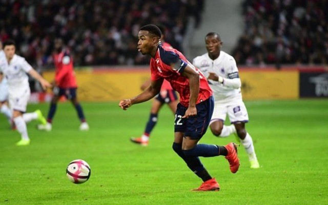 赛的决心和 赛的决心和